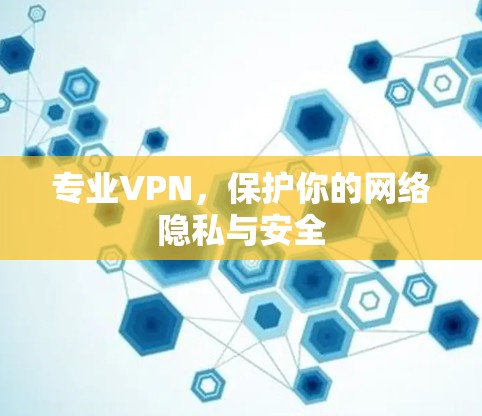 专业VPN，保护你的网络隐私与安全